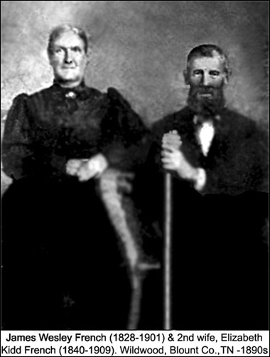 Description: Macintosh HD:Users:Mara:Desktop:43362440_131799426590.jpg