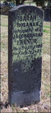 Description: Macintosh HD:Users:Mara:Desktop:13930280_114529653627.jpg