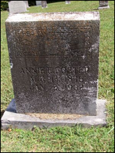 Description: Macintosh HD:Users:Mara:Desktop:77733254_131794046091.jpg