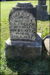 Description: Macintosh HD:Users:Mara:Desktop:77877852_131812590468.jpg