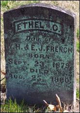 Description: Macintosh HD:Users:Mara:Desktop:13930207_114529090707.jpg