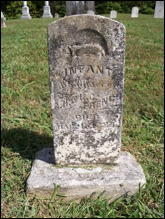 Description: Macintosh HD:Users:Mara:Desktop:46243175_131799495769.jpg