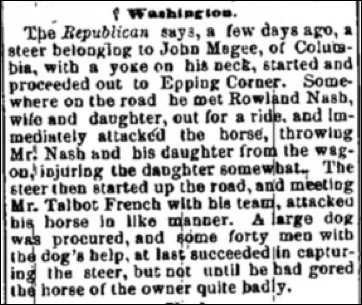 Description: Macintosh HD:Users:Mara:Desktop:Talbot.png