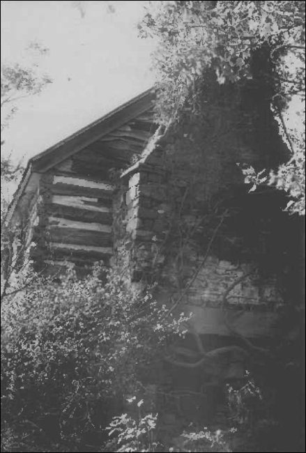 Description: loghouse3