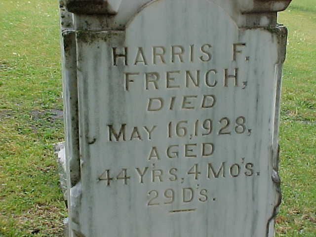 Description: Macintosh HD:Users:Mara:Desktop:40398311_124970447776.jpg