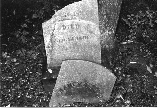 Description: Macintosh HD:Users:Mara:Desktop:135417808_1454266343.jpg