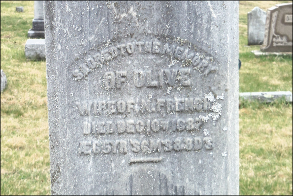 Description: Macintosh HD:Users:Mara:Desktop:122529019_1399312988.jpg