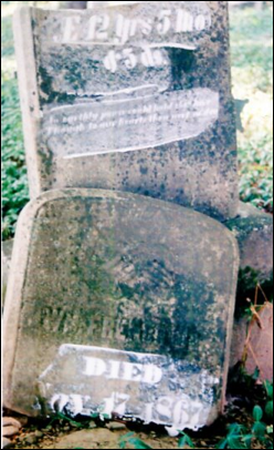 Description: Macintosh HD:Users:Mara:Desktop:88059243_133356406594.jpg