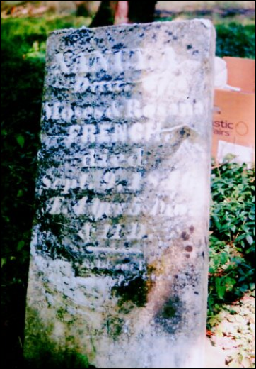 Description: Macintosh HD:Users:Mara:Desktop:78320342_133634529066.jpg