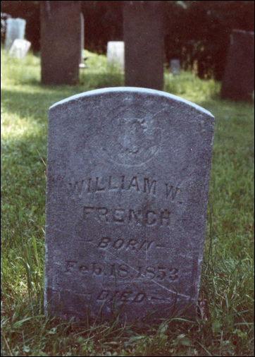 Description: Macintosh HD:Users:Mara:Desktop:7d7ebe56-278d-498f-bb20-8a60d6f31182.jpg