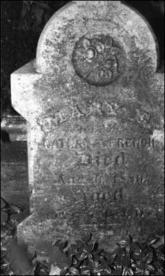 Description: Macintosh HD:Users:Mara:Desktop:78320252_1454262903.jpg