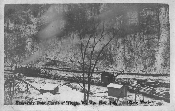 Description: Macintosh HD:Users:Mara:Desktop:Log Train.jpg