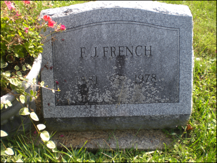 Description: Macintosh HD:Users:Mara:Desktop:69574714_137803942710.jpg