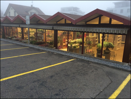 Description: Macintosh HD:Users:Mara:Desktop:thumb_IMG_8264_1024.jpg