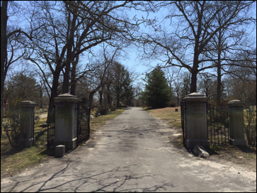 Description: Macintosh HD:Users:Mara:Pictures:iPhoto Library:Masters:2015:04:25:20150425-105859:IMG_4538.JPG