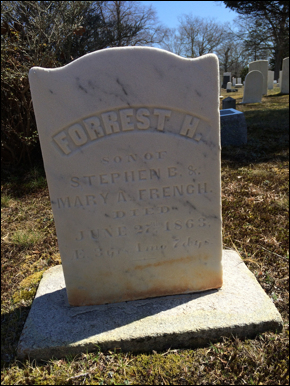 Description: Macintosh HD:Users:Mara:Pictures:iPhoto Library:Previews:2015:04:25:20150425-105859:hmoysXB%Q2ajtFxf1EW3og:IMG_4511.jpg