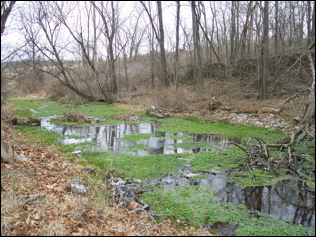 Description: spring mills race basin empties into Tulllises branch