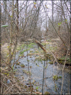 Description: Tullises branch as it comes to the road