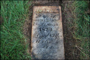 Description: Macintosh HD:Users:Mara:Desktop:56536017_128387089056.jpg