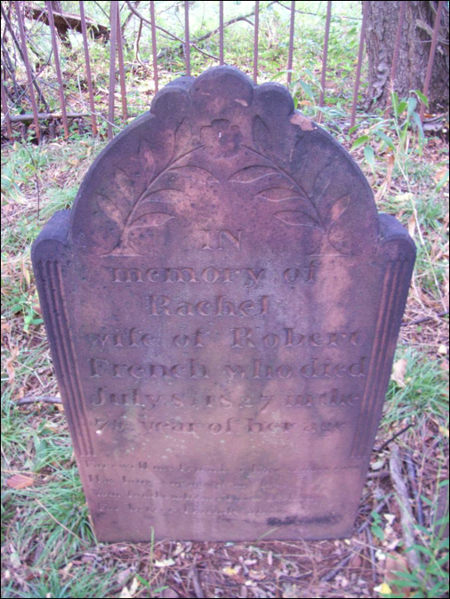 Description: Macintosh HD:Users:Mara:Desktop:10190472_116009390893.jpg