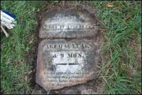 Description: Macintosh HD:Users:Mara:Desktop:56536016_128387124148.jpg